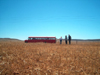 Bus and cornfield